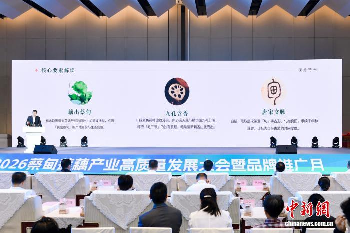 开云官网：体育赛事的深度解析 - 开云